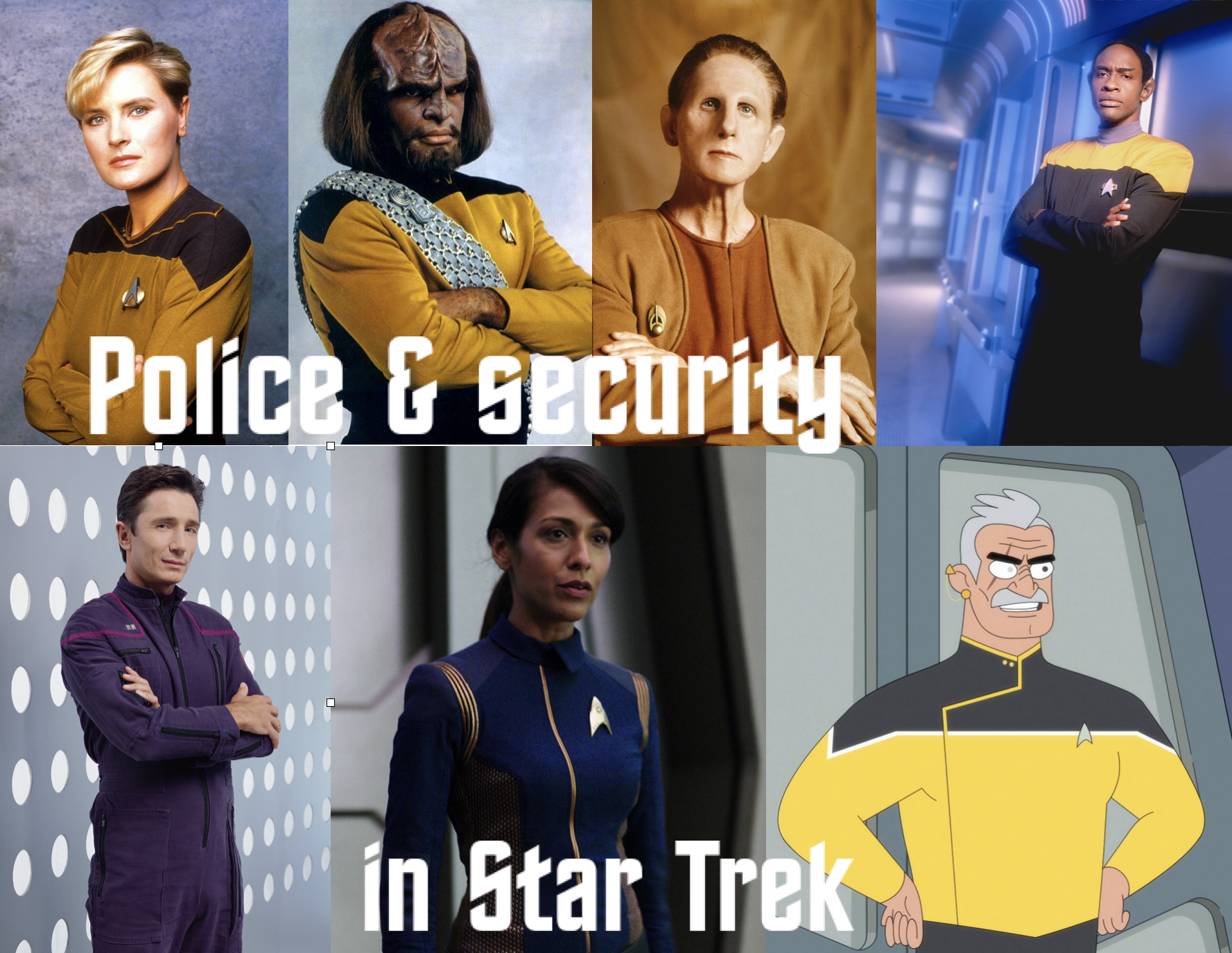 Police & security in Star Trek